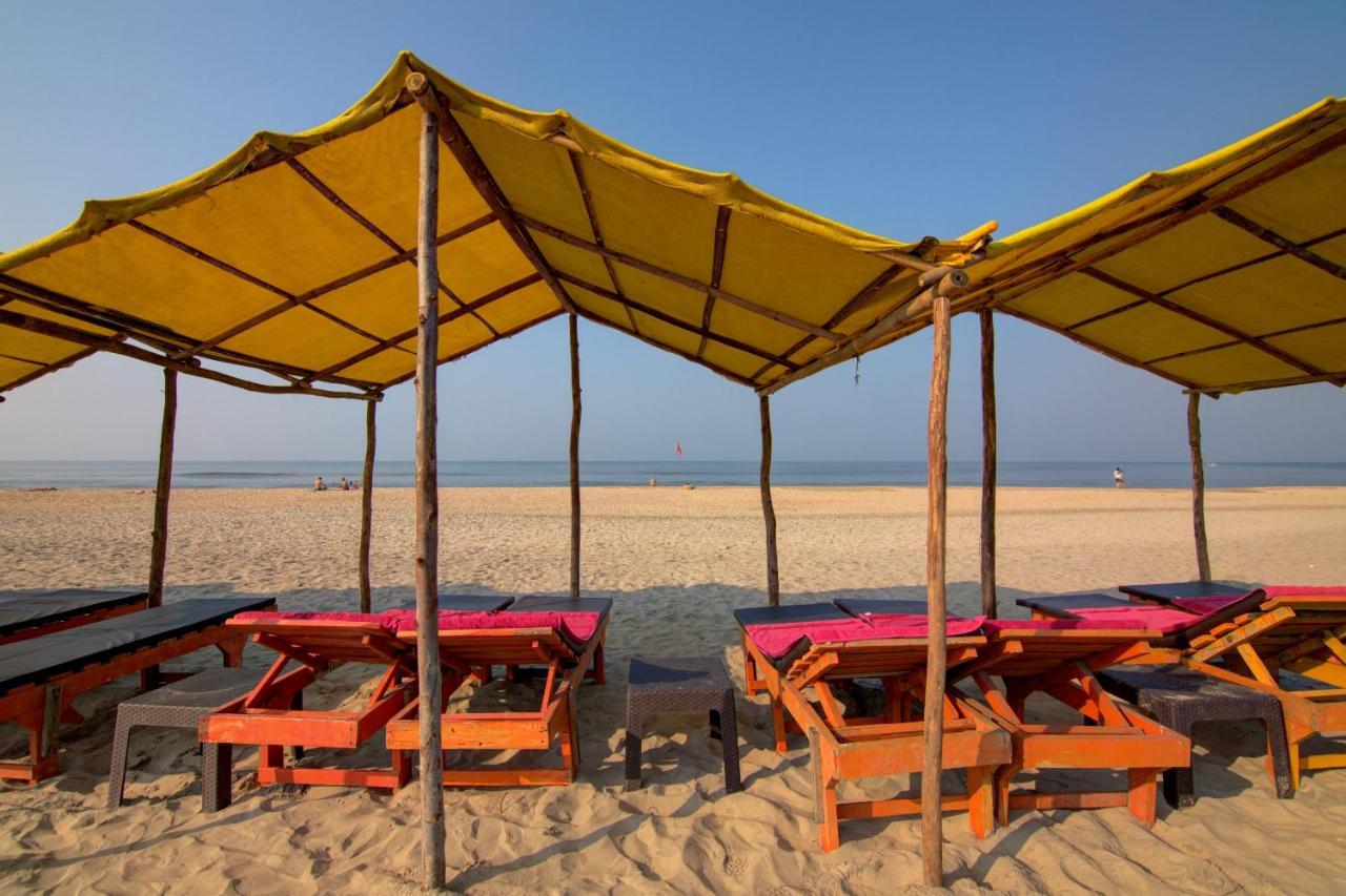 Hotel Molly'S Nest Mandrem Zewnętrze zdjęcie