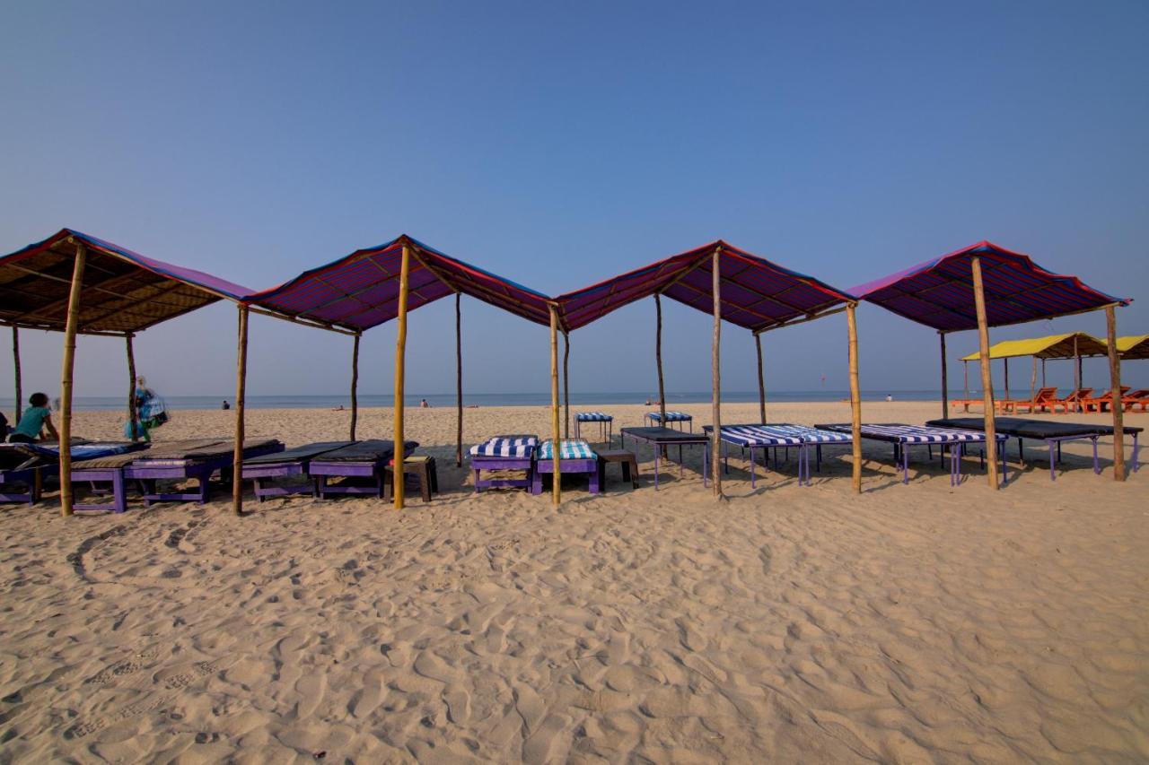 Hotel Molly'S Nest Mandrem Zewnętrze zdjęcie